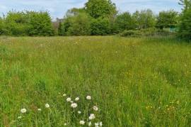 Land for sale - 1 980 m2 - MONTENEUF - (56380)