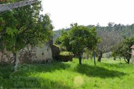 Stone cottage with a garden to renovate in Vila Facaia, Pedrogao Grande