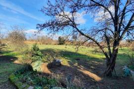 Former Farm/wine Making Property Offering 2 Accomodations Of 560 M2 And 100 M2 On 3.5 Hectares.