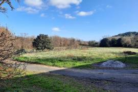 Former Farm/wine Making Property Offering 2 Accomodations Of 560 M2 And 100 M2 On 3.5 Hectares.