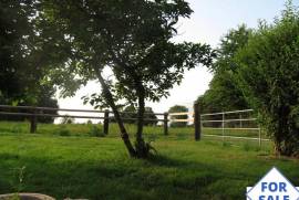 Detached House with Garden