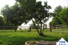 Detached House with Garden