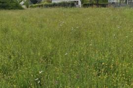 Building Plot For Sale with Countryside Views