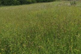 Building Plot For Sale with Countryside Views