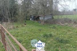 Detached Country House with Open View