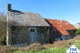 Countryside Barn for Full Renovation