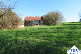 Countryside Barn for Full Renovation