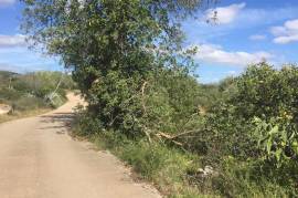 Large Ruin on Big Plot with Sea Views Ref 101