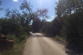 Large Ruin on Big Plot with Sea Views Ref 101