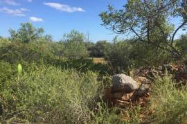 Large Ruin on Big Plot with Sea Views Ref 101