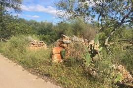 Large Ruin on Big Plot with Sea Views Ref 101