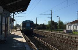 Investment Opportunity Two Independent Properties! Ref 296