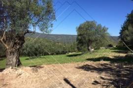 Build your Dream Villa Ref 011