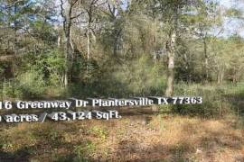 Fantastic Country Setting, Come Live the Good Life - Lot 16 Greenway Dr Plantersville TX 77363 Lot 16 Greenway Dr, Plantersville, Texas 77363