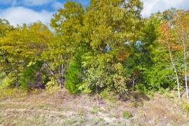 Be one with Nature on this Vacant Lot - Lot 30 Opossum Creek Dr Murchison TX 75778 - Lot 30 Opossum Creek Dr, Murchison, Texas 75778