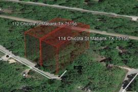 2 Beautiful wooded lots near Cedar Creek Reservoir - 114 & 112 Chicota St, Mabank, TX 75156 [Financing Available] Chicota St, Mabank, Texas 75156