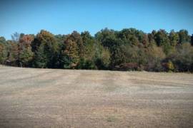 39 Private beautiful acres + 3 bdrm/2bath home 207 Presley Ridge Rd., Scotts Hill, Tennessee 38374