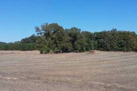 39 Private beautiful acres + 3 bdrm/2bath home 207 Presley Ridge Rd., Scotts Hill, Tennessee 38374
