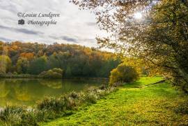 Domaine avec ruisseau et lac sur 88 Hectares