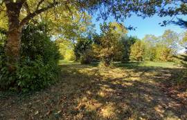 - Land - Aquitaine - For Sale - 7164T-Vi