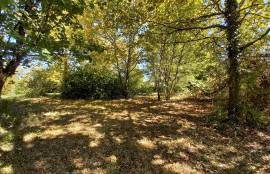 - Land - Aquitaine - For Sale - 7164T-Vi