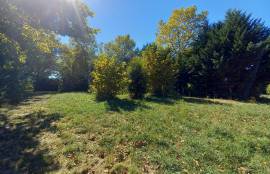 - Land - Aquitaine - For Sale - 7164T-Vi
