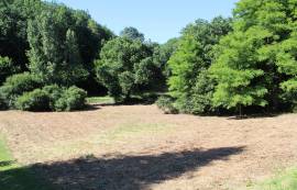 - Land - Aquitaine - For Sale - 7182T-Vi