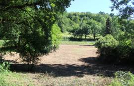 - Land - Aquitaine - For Sale - 7182T-Vi