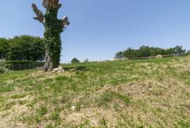 8 Bedrooms - House - Aquitaine - For Sale - 8251-EY