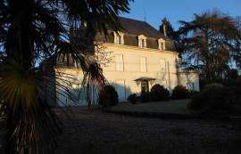 12 Bedrooms - Chateau - Aquitaine - For Sale - 8417-EY