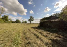 Terrain avec grange Terrain avec grange