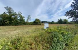 Terrain avec grange Terrain avec grange