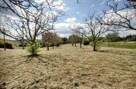 - Land - Aquitaine - For Sale - 10067T