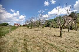 - Land - Aquitaine - For Sale - 10067T - Land - Aquitaine - For Sale - 10067T