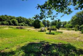 For Sale, Farmhouse on the Outskirts of Availles Limouzine
