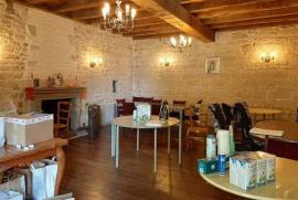 15c Chateau close to Chef-Boutonne in the Deux-Sevres