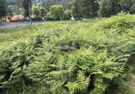 Large and Well-Located Land in Vila Nova de Cerveira – The Ideal Opportunity to Build the Home of Your Dreams Large and Well-Located Land in Vila Nova de Cerveira – The Ideal Opportunity to Build the Home of Your Dreams