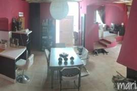 FINCA FOR SALE. Cocentaina (Alicante).