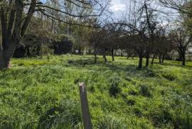 Country House with Several Outbuildings