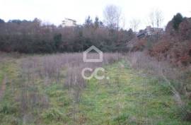 Terrain, Lustosa, Lousada
