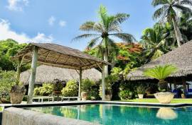 Luxurious Tropical Island Villa
