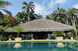 Luxurious Tropical Island Villa