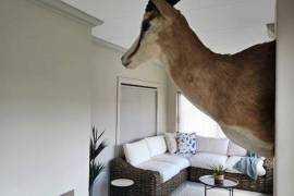 Game Farm & Villa For Sale In The Kalahari South