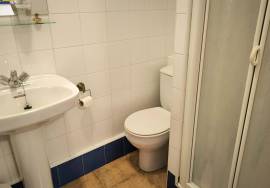 Restaurant, agrotourism and private house for sale in Lalastra Álava