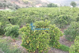 Estate with 218ha next to Ribeira de Odelouca for Sale - Silves