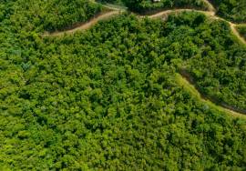 Soldier's Hill Hillside Land Lots