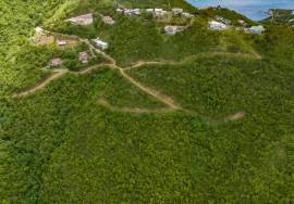 Soldier's Hill Hillside Estate West