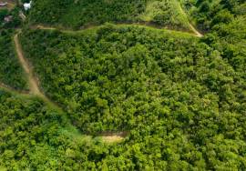 Soldier's Hill Hillside Estate West