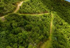 Soldier's Hill Hillside Estate West