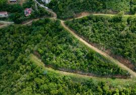 Soldier's Hill Hillside Estate West